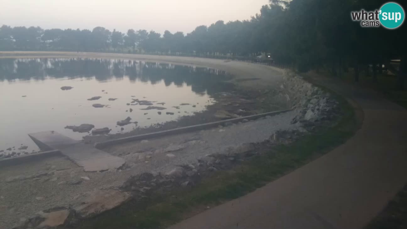 Novigrad – Plage Karpinjan