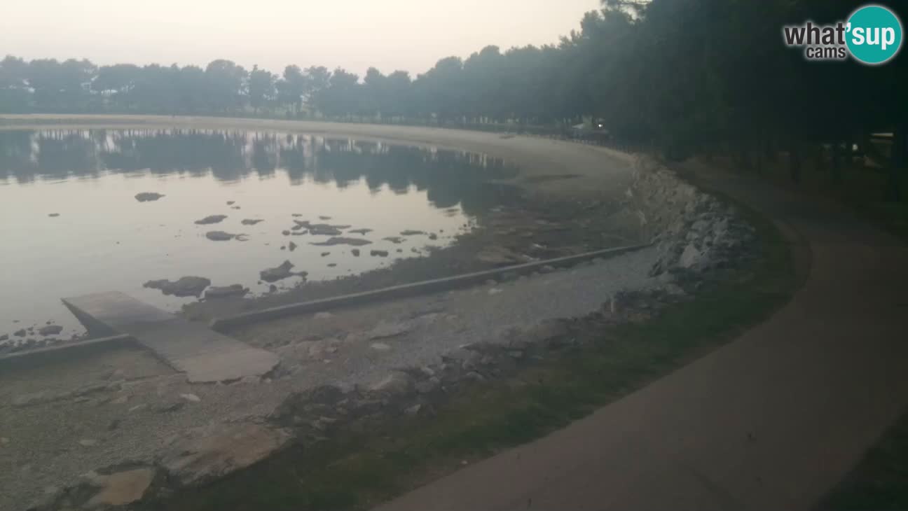 Novigrad live cam – Karpinjan beach