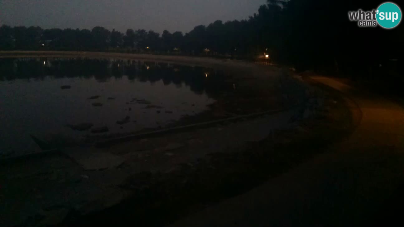 Novigrad live cam – Karpinjan beach
