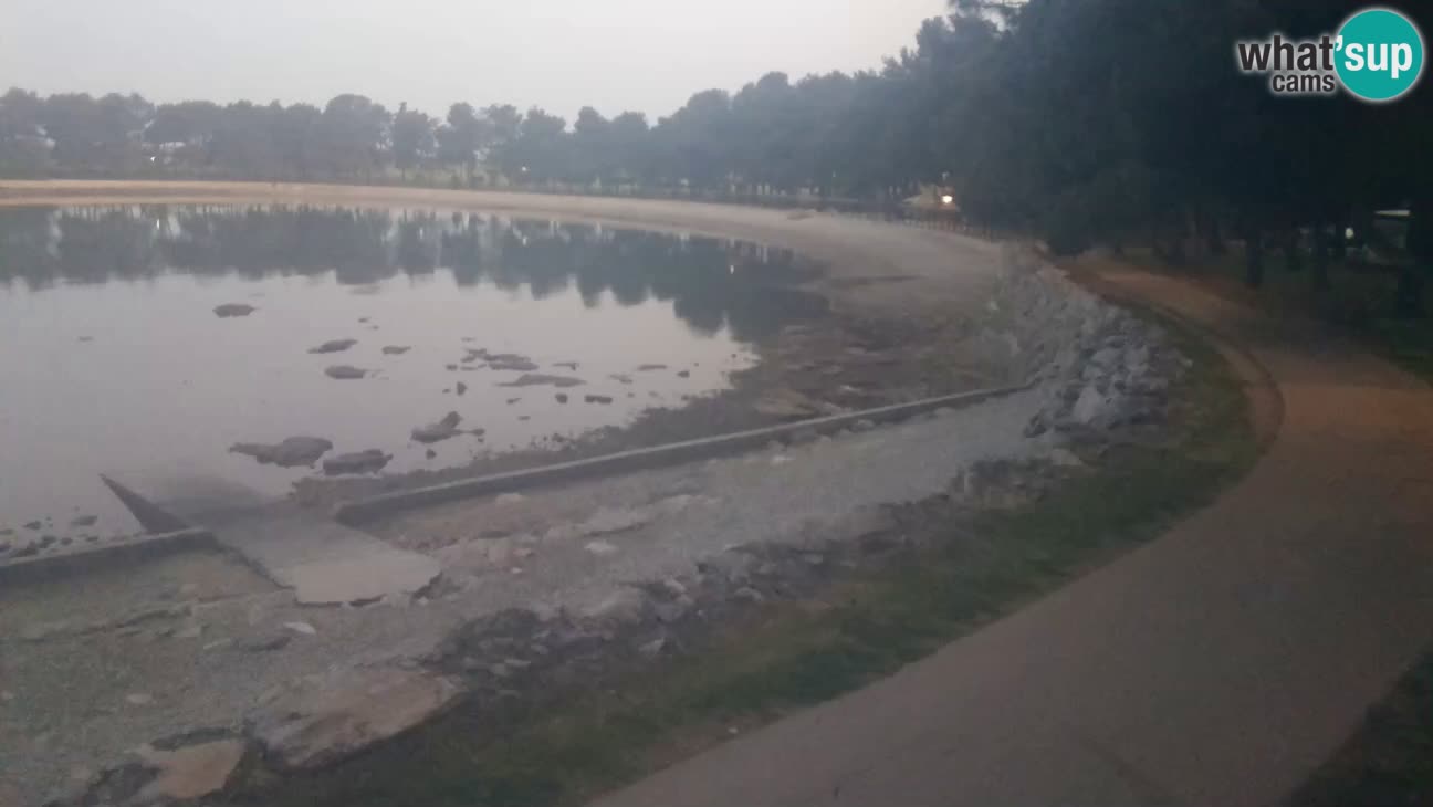 Novigrad – Plage Karpinjan