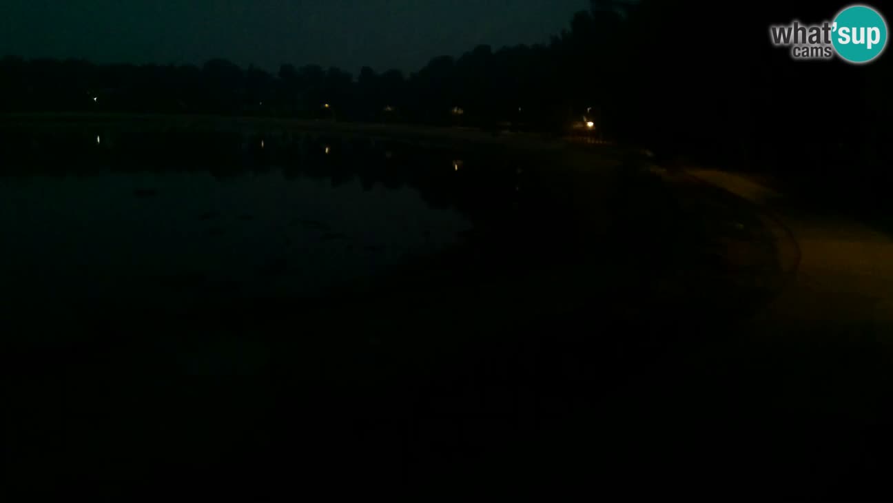 Novigrad – Strand Karpinjan webcam