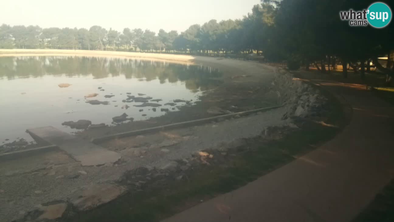 Novigrad – Plaža Karpinjan