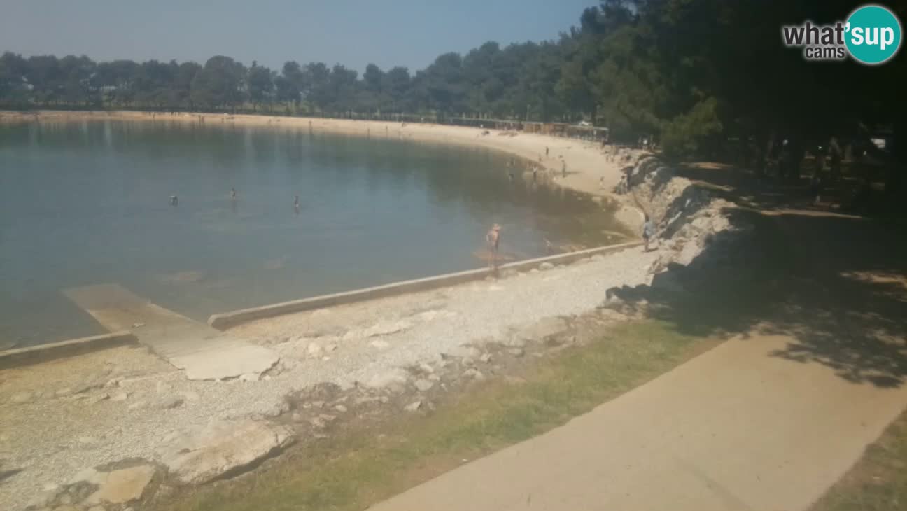 Novigrad live cam – Karpinjan beach