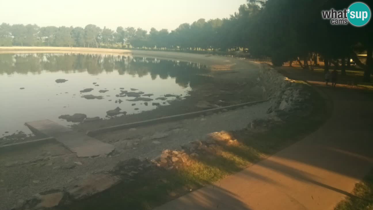 Novigrad – Plaža Karpinjan