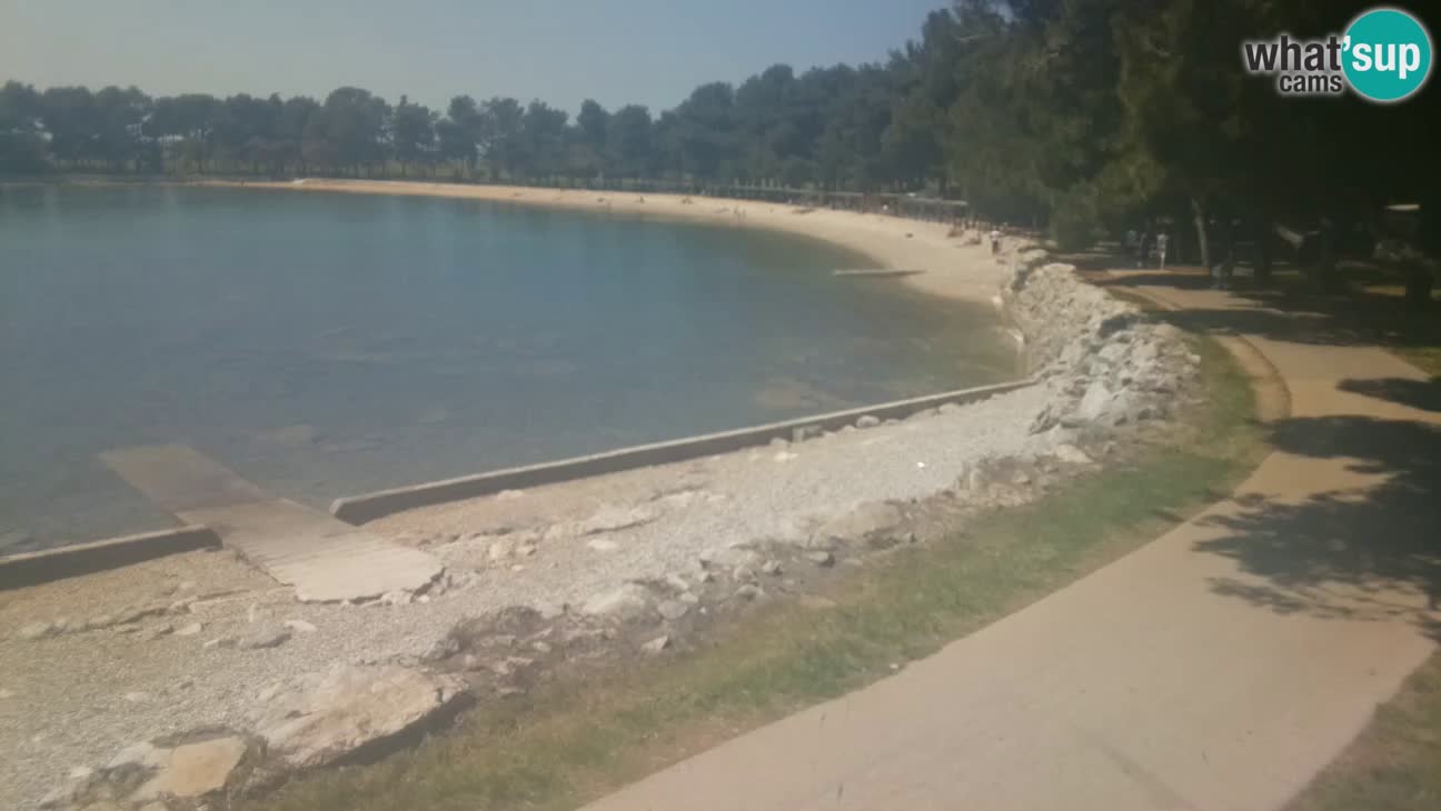 Novigrad – Plaža Karpinjan