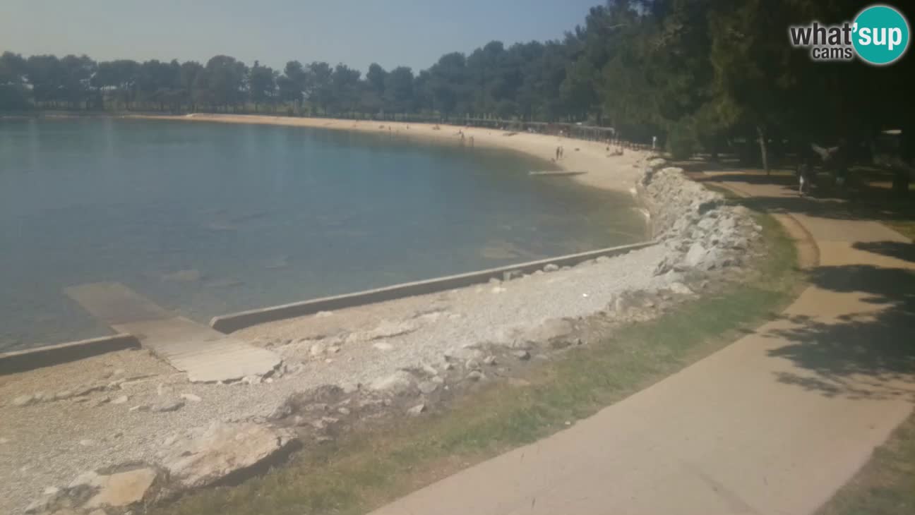 Novigrad live cam – Karpinjan beach
