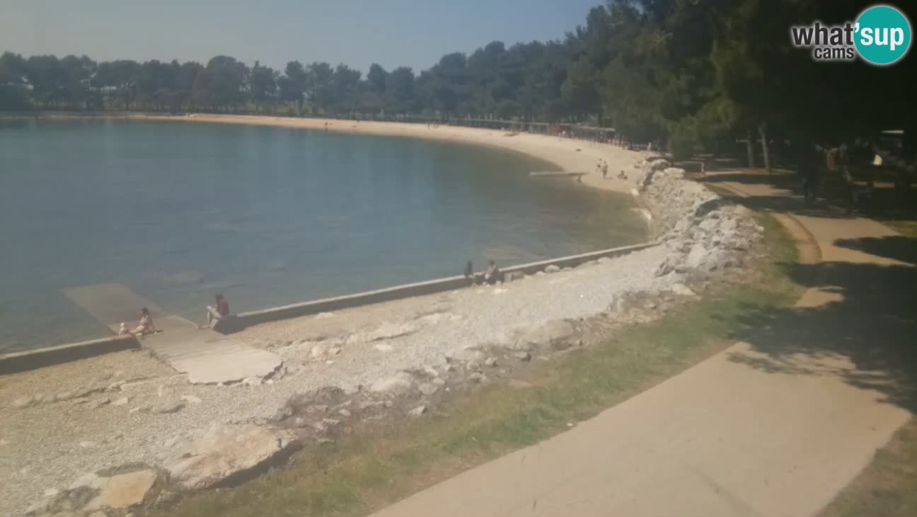 Novigrad – Plaža Karpinjan