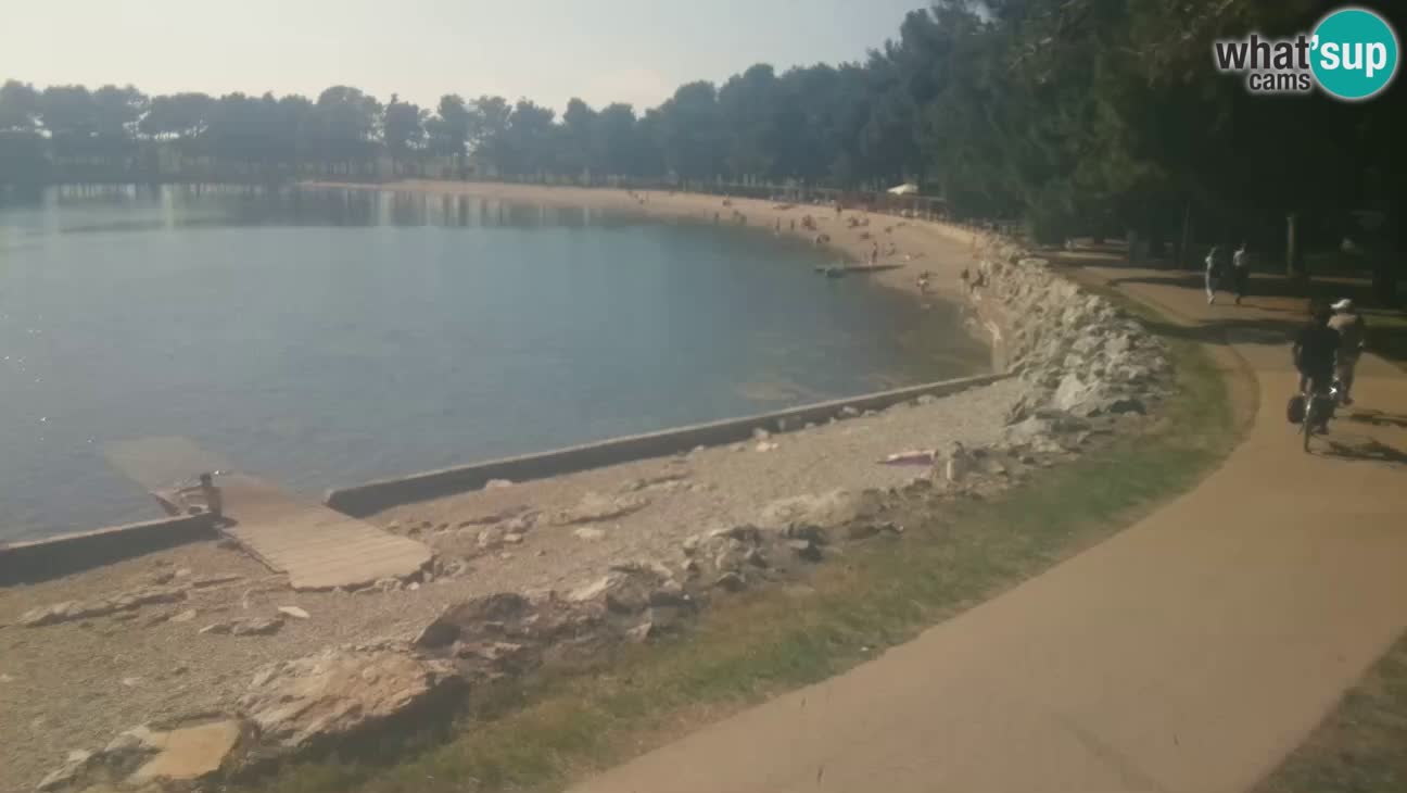 Novigrad – Playa Karpinjan