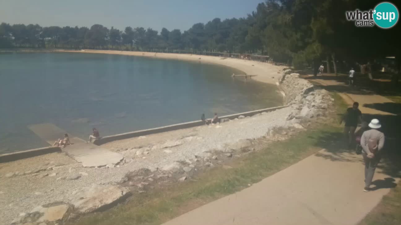 Novigrad – Strand Karpinjan webcam