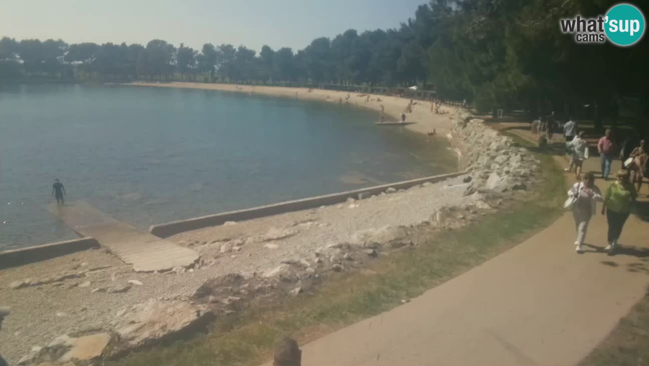 Novigrad – Playa Karpinjan