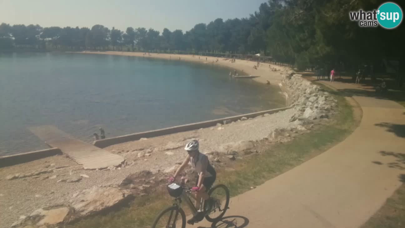 Novigrad – Plaža Karpinjan
