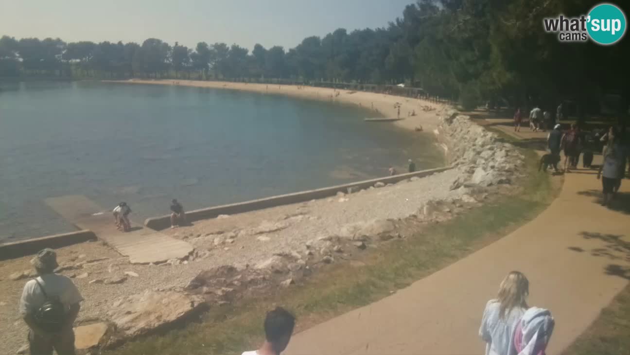 Novigrad – Strand Karpinjan webcam