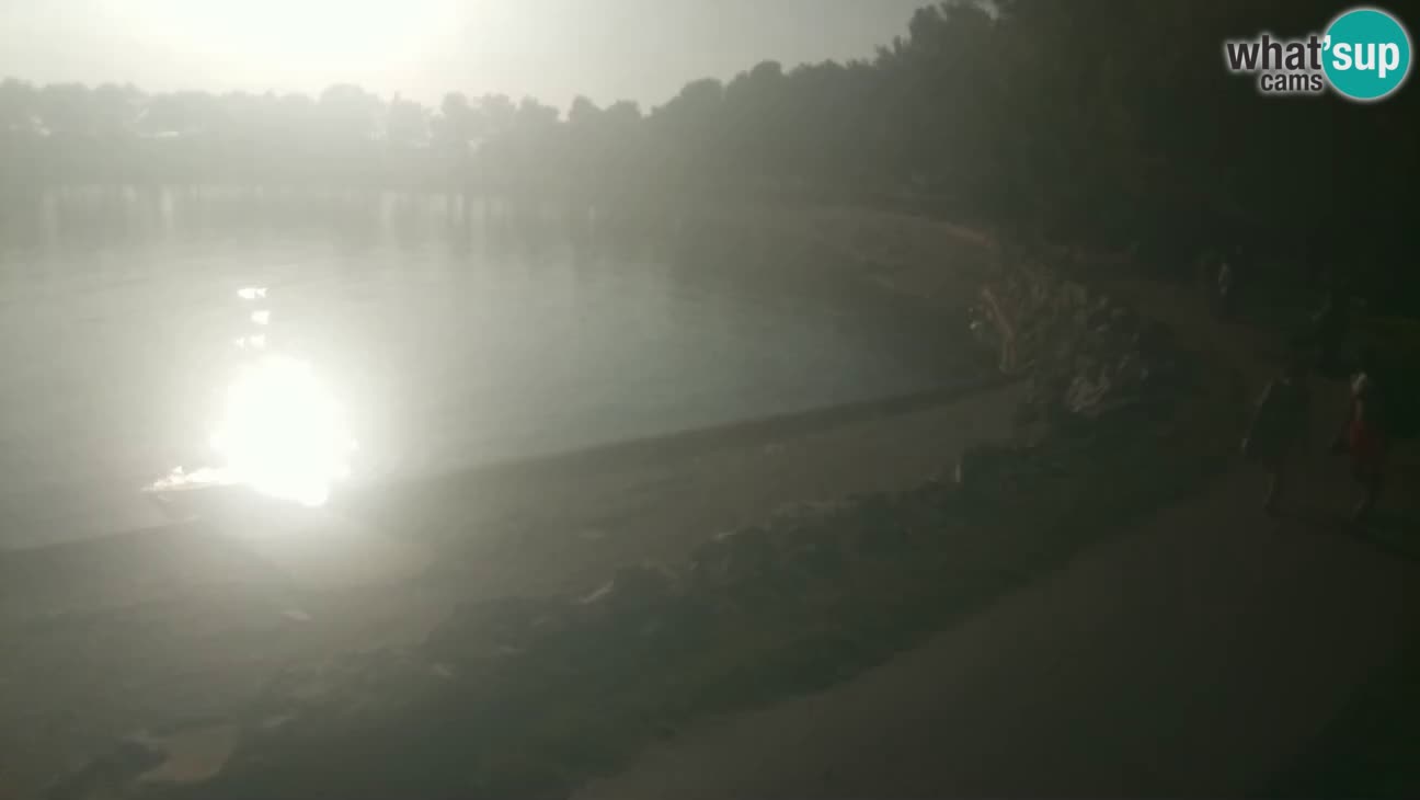 Novigrad live cam – Karpinjan beach