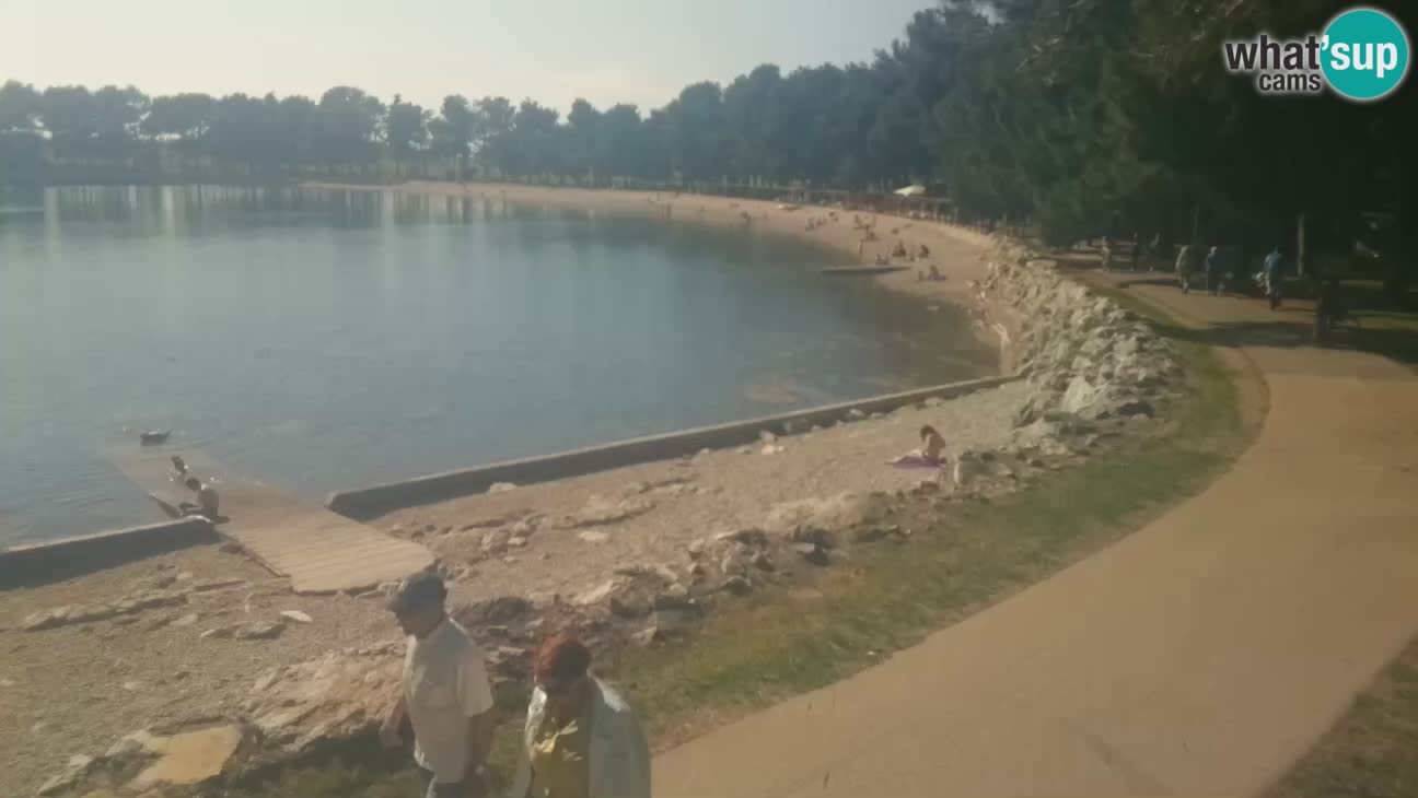 Novigrad live cam – Karpinjan beach