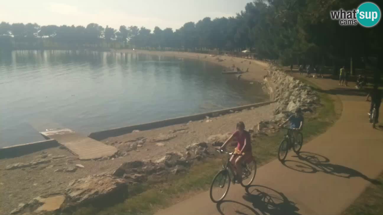 Novigrad – Strand Karpinjan webcam