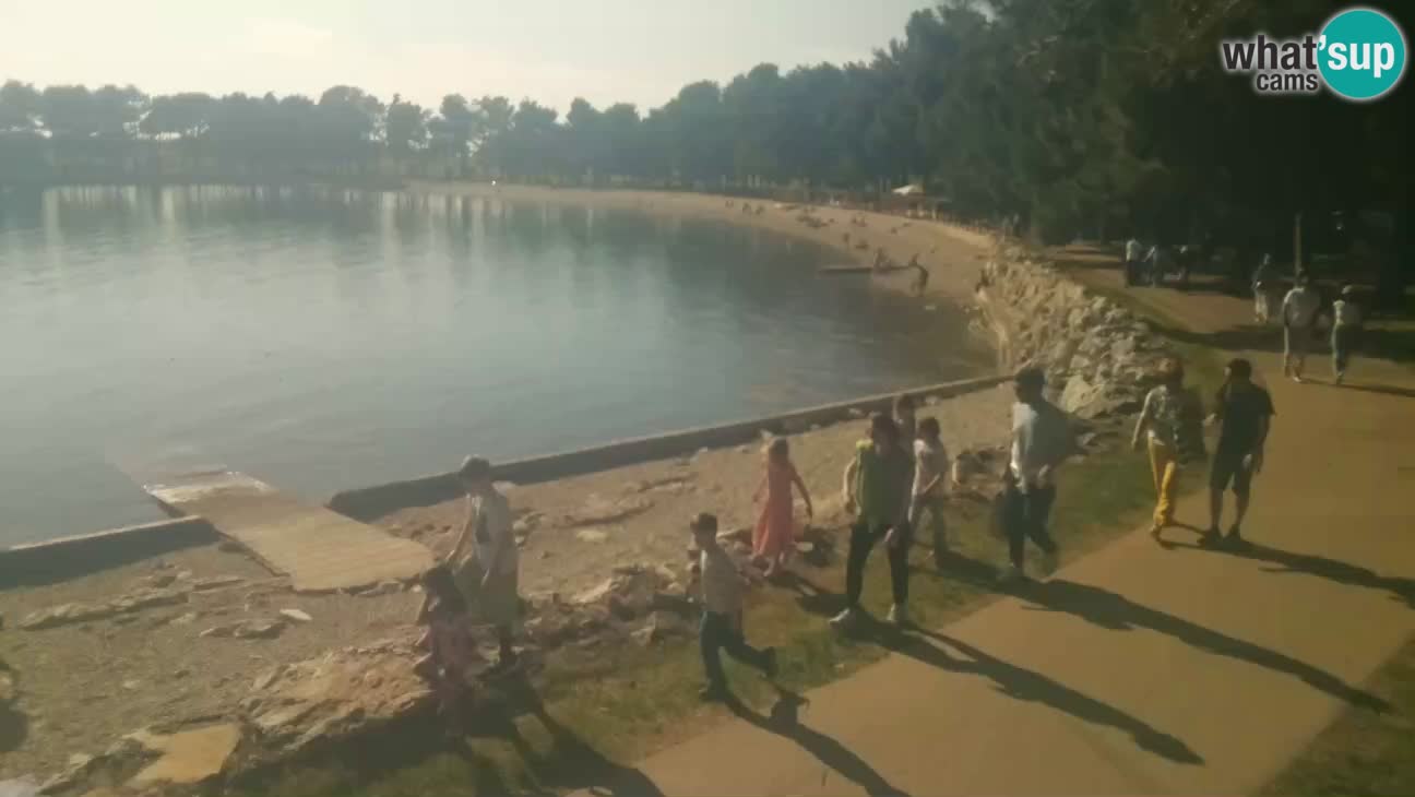 Novigrad – Plage Karpinjan