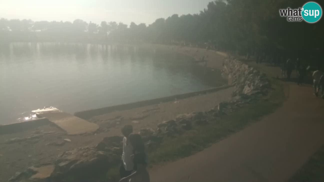 Novigrad – Strand Karpinjan webcam