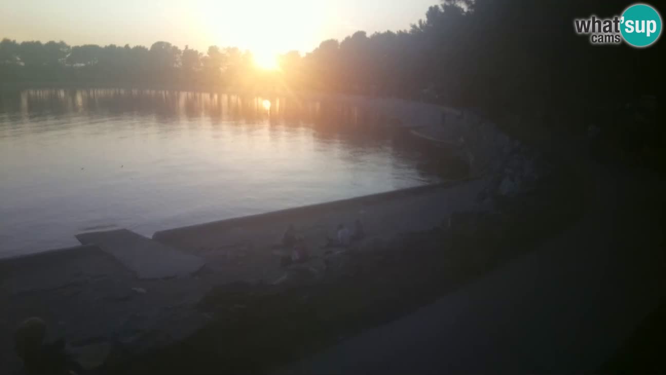 Novigrad – Strand Karpinjan webcam