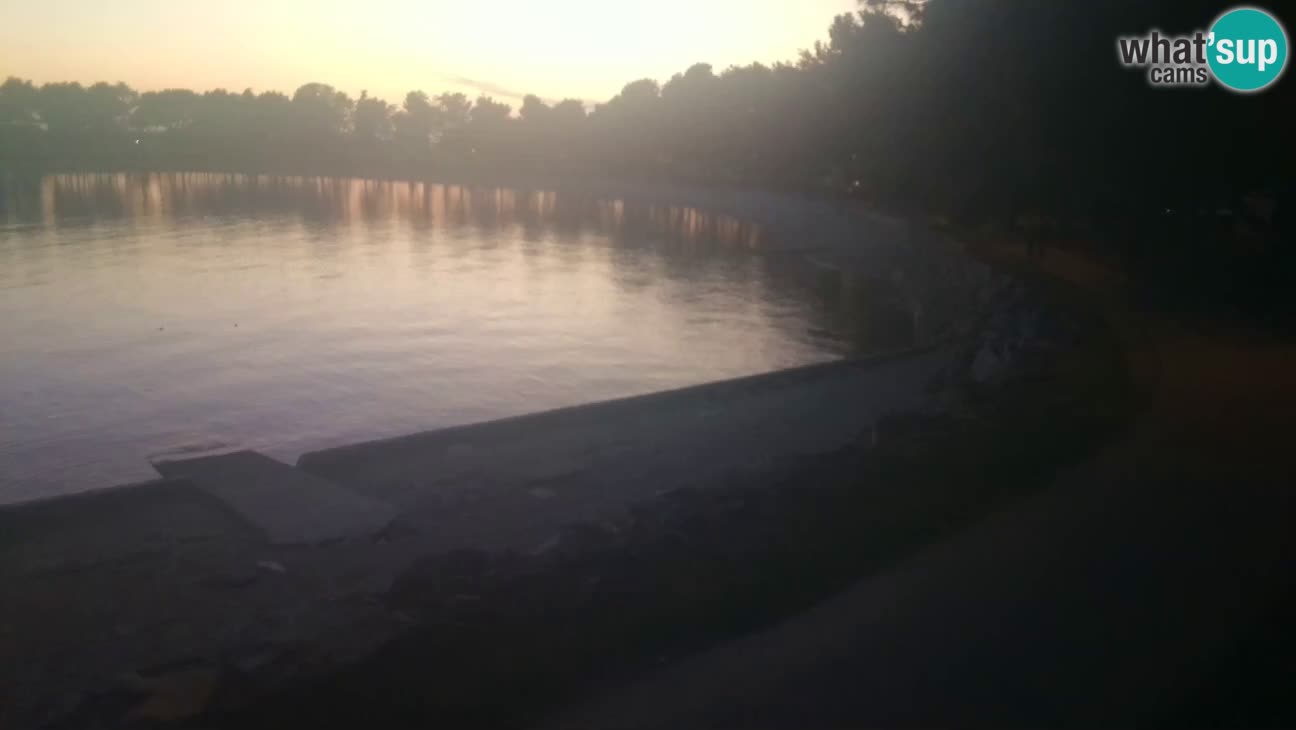 Novigrad – Playa Karpinjan
