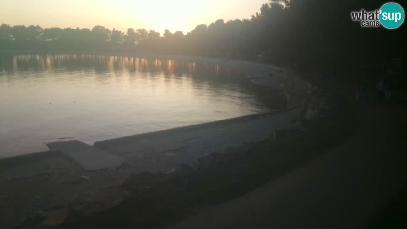 Novigrad – Plage Karpinjan