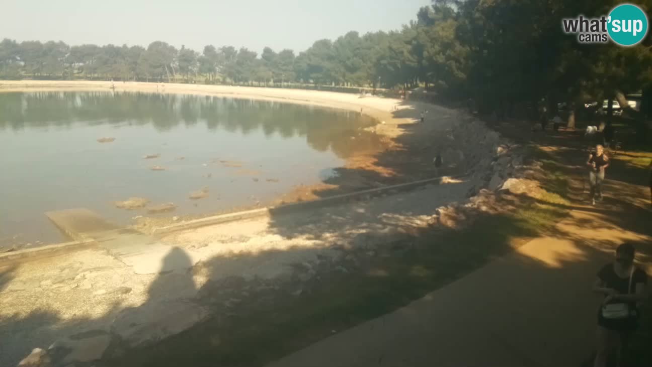 Novigrad – Playa Karpinjan
