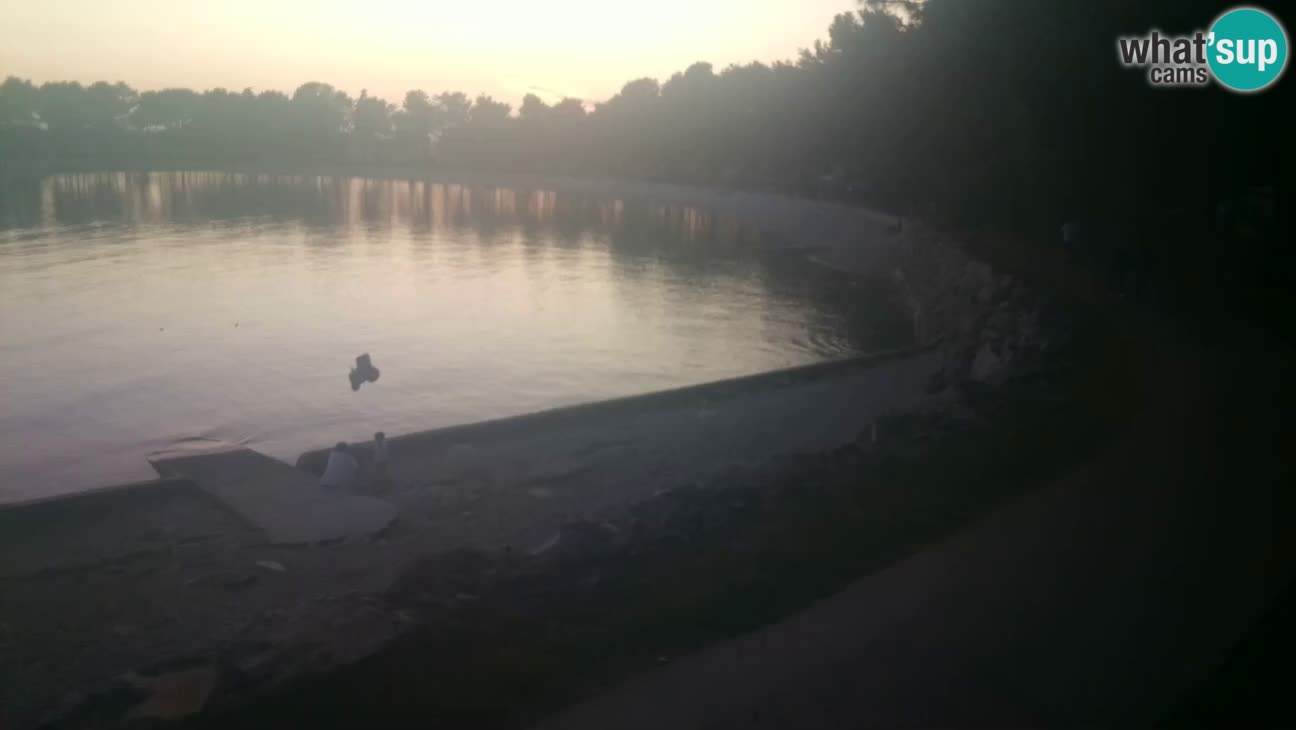 Novigrad – Playa Karpinjan