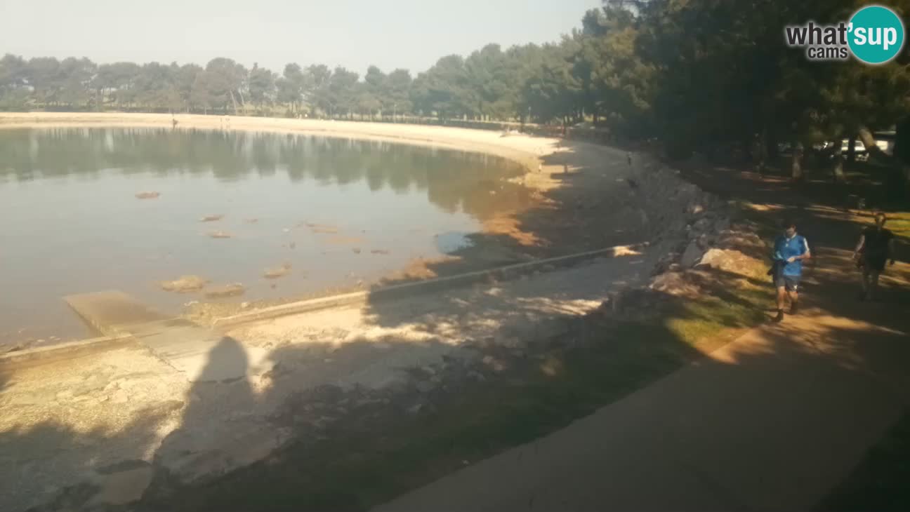 Novigrad – Playa Karpinjan