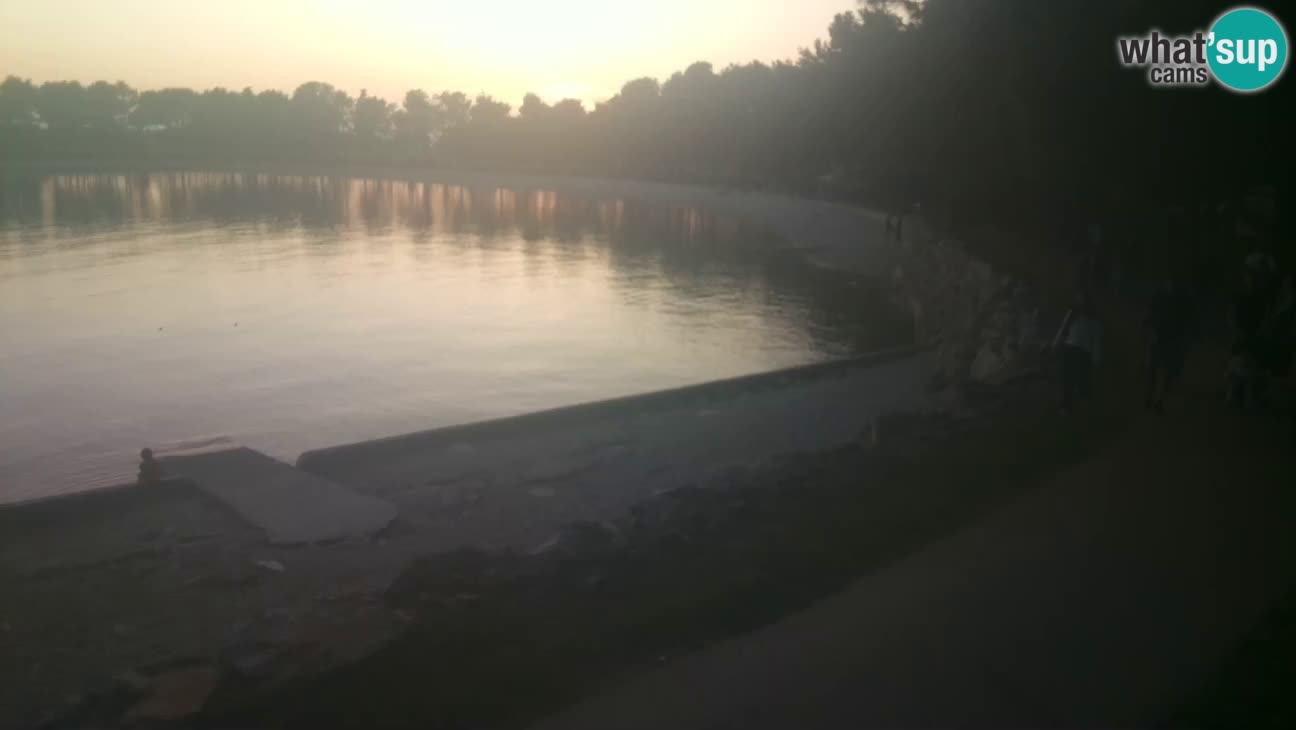 Novigrad live cam – Karpinjan beach
