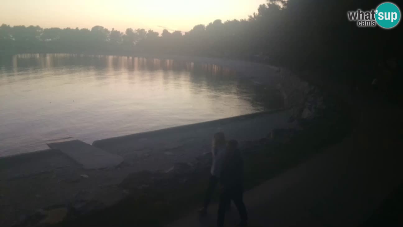Novigrad – Playa Karpinjan