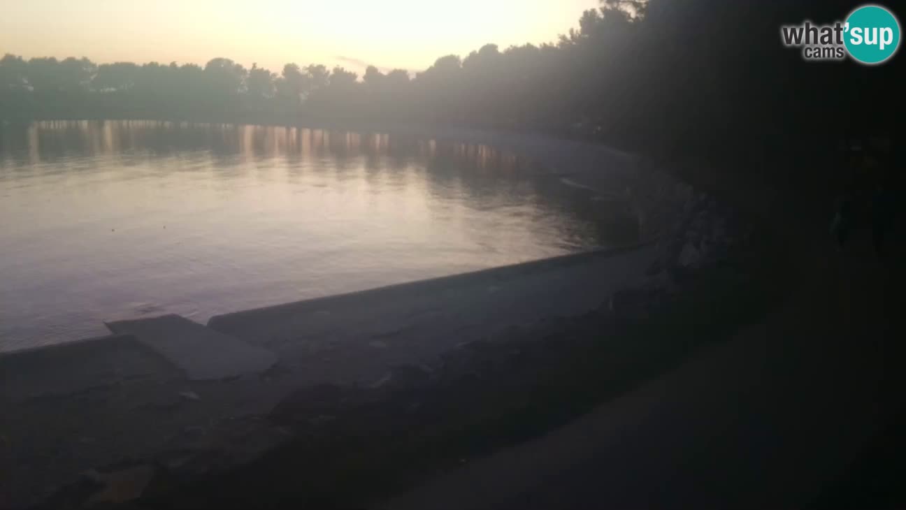 Novigrad – Plaža Karpinjan