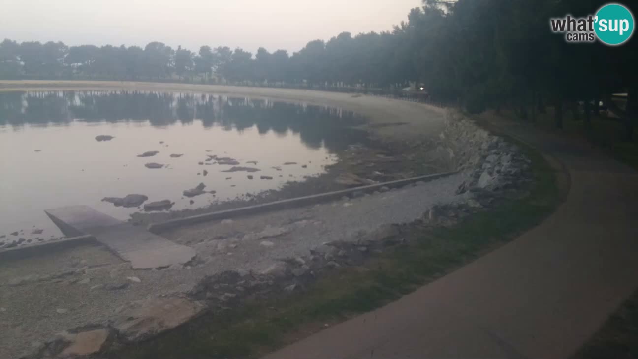 Novigrad – Plaža Karpinjan