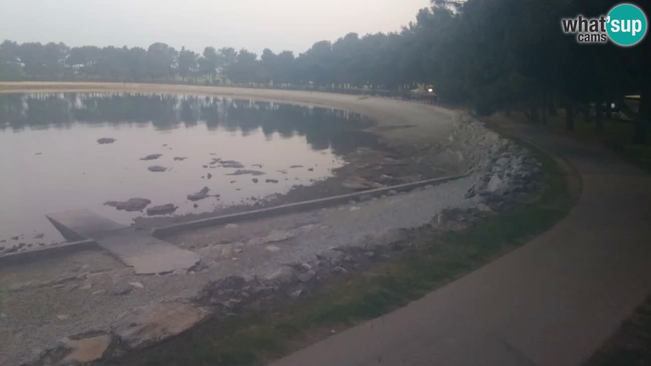 Novigrad – Plage Karpinjan