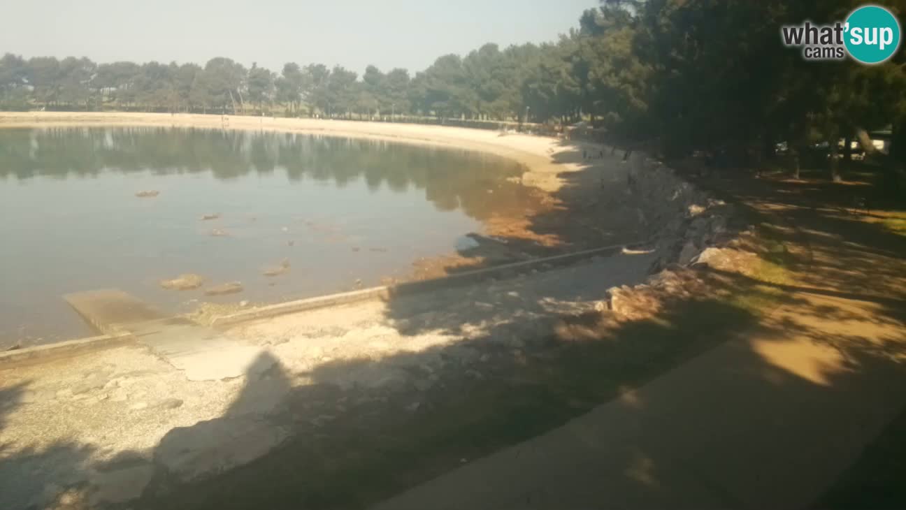 Novigrad – Strand Karpinjan webcam