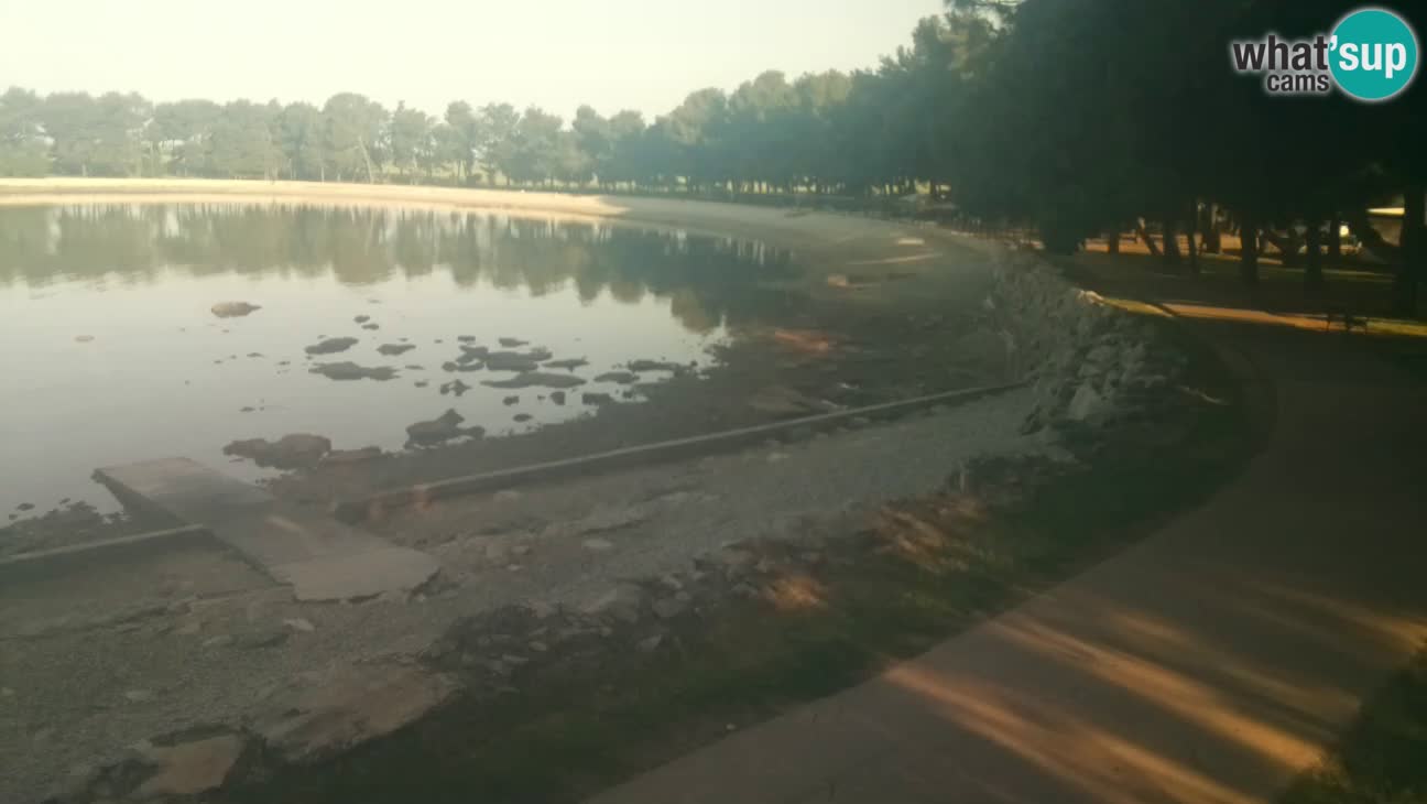 Novigrad live cam – Karpinjan beach