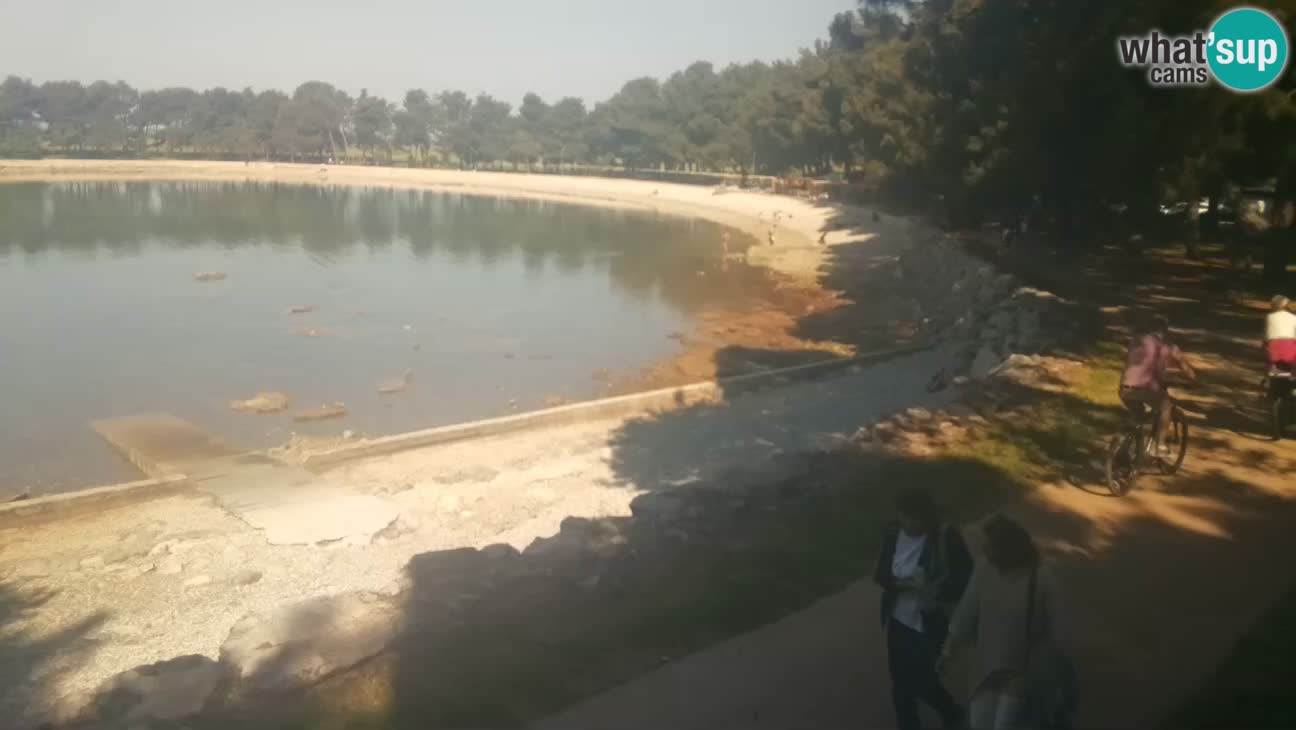 Novigrad live cam – Karpinjan beach
