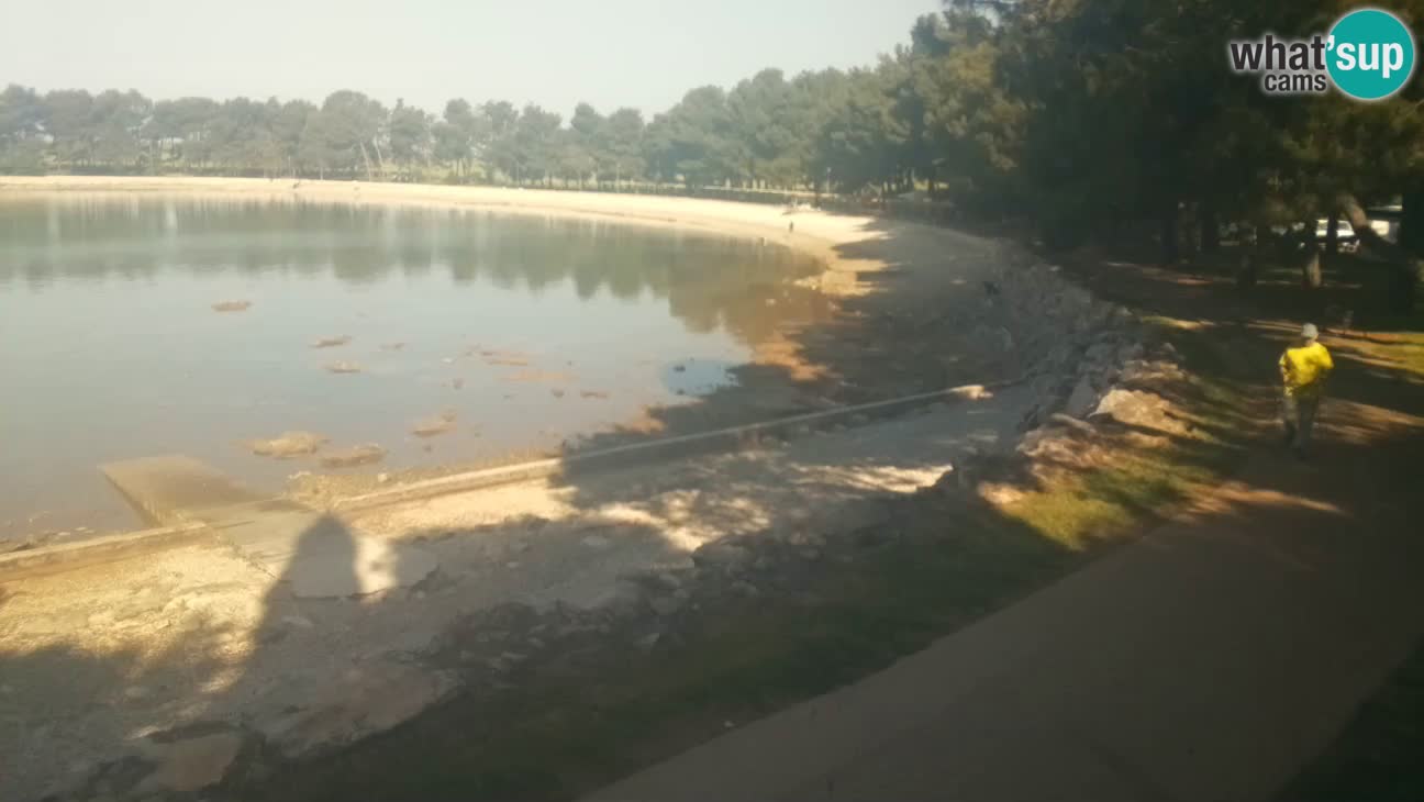 Novigrad – Plage Karpinjan