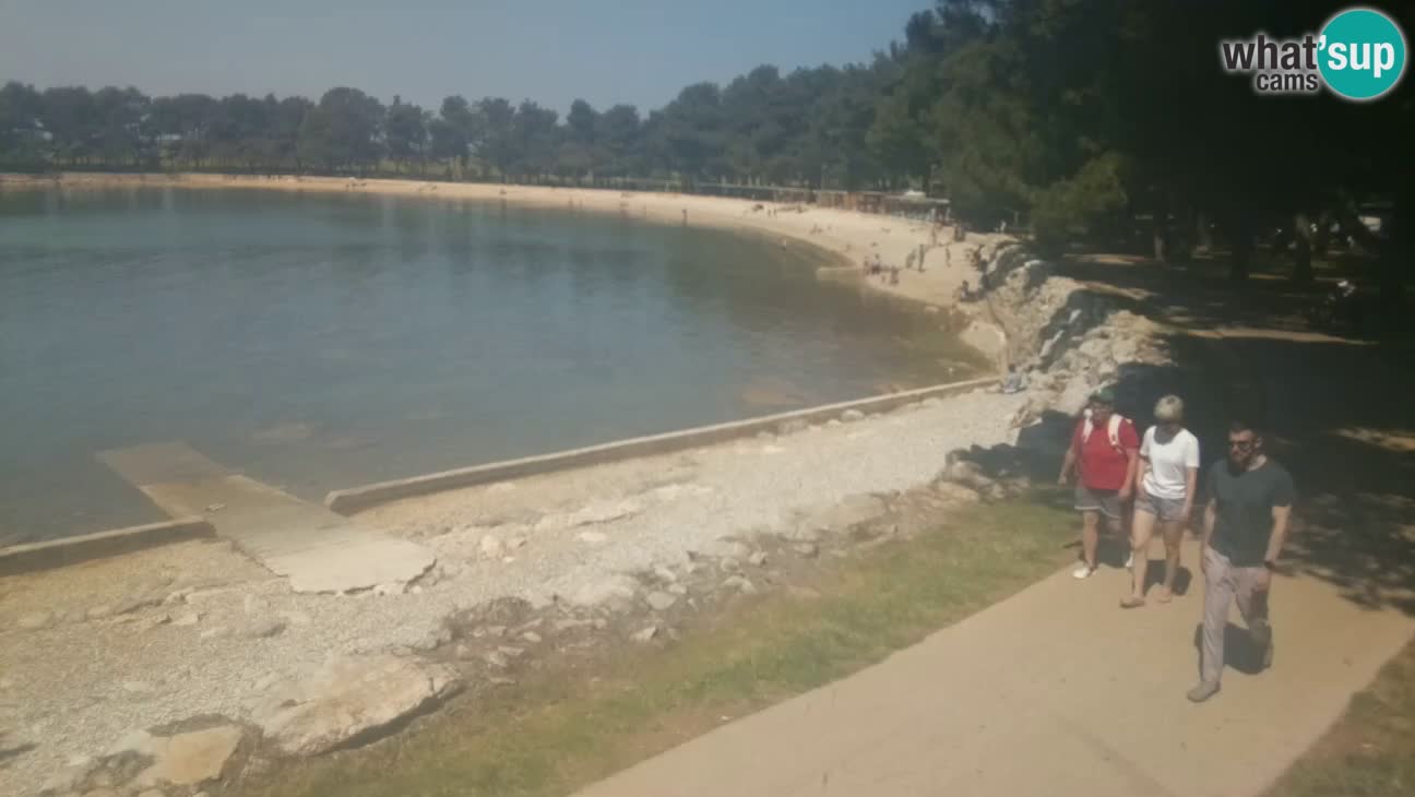 Novigrad – Plaža Karpinjan