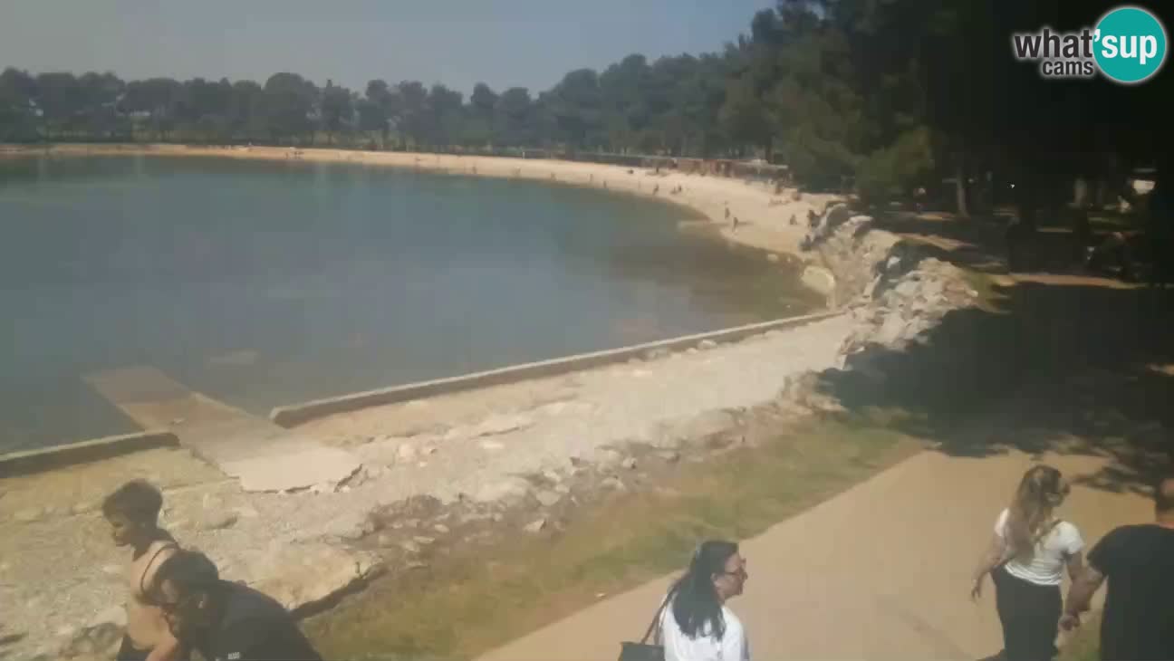 Novigrad – Strand Karpinjan webcam