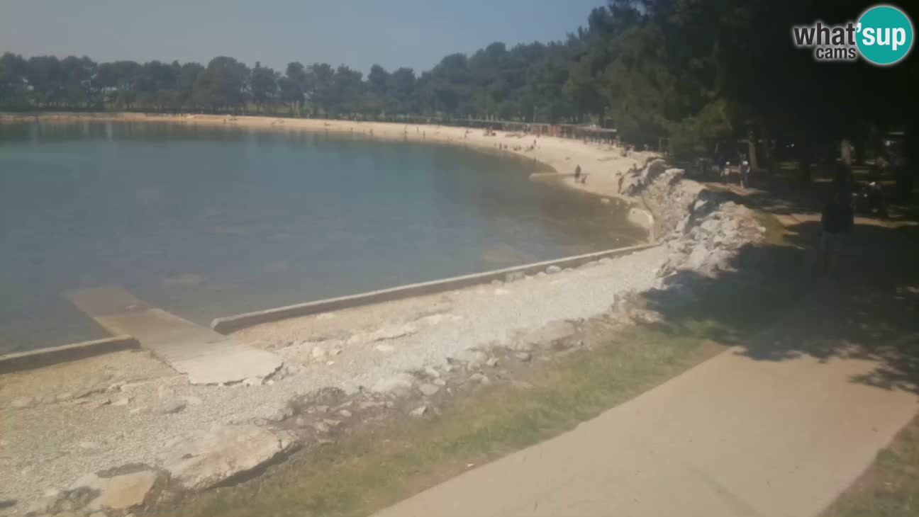 Novigrad live cam – Karpinjan beach
