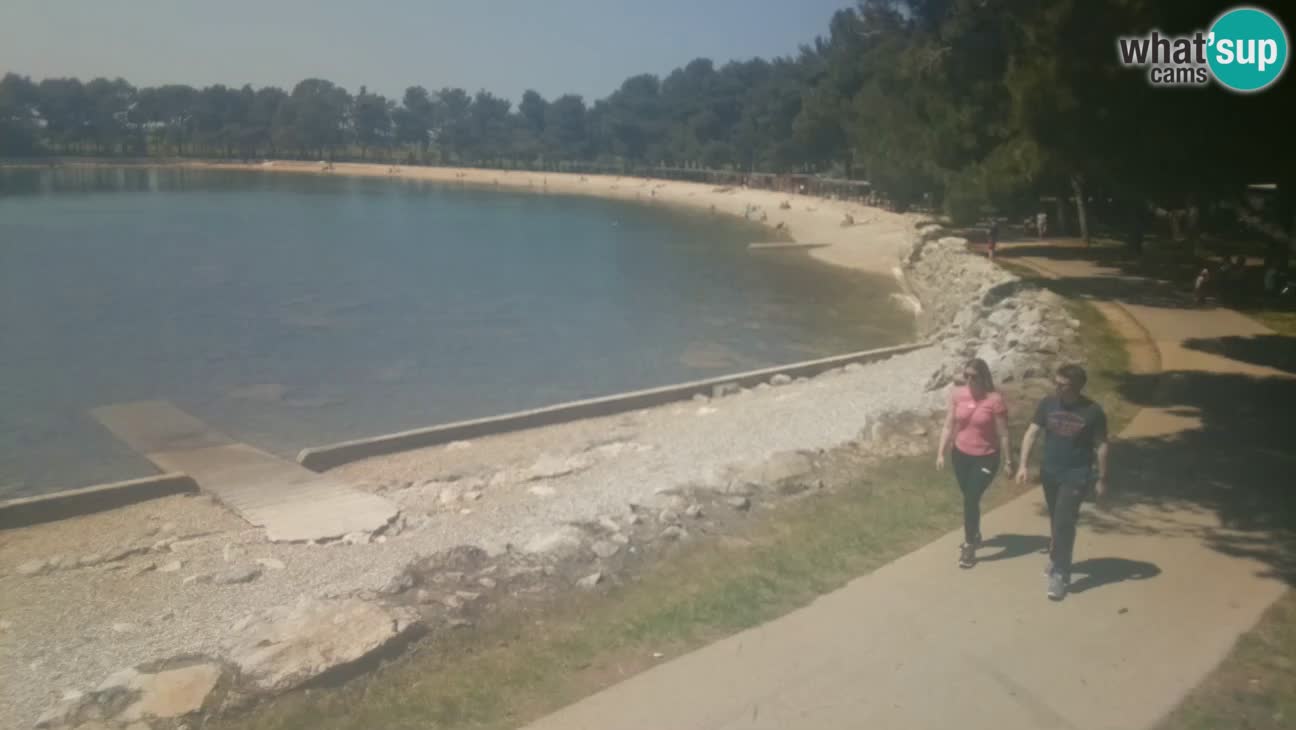 Novigrad – Strand Karpinjan webcam