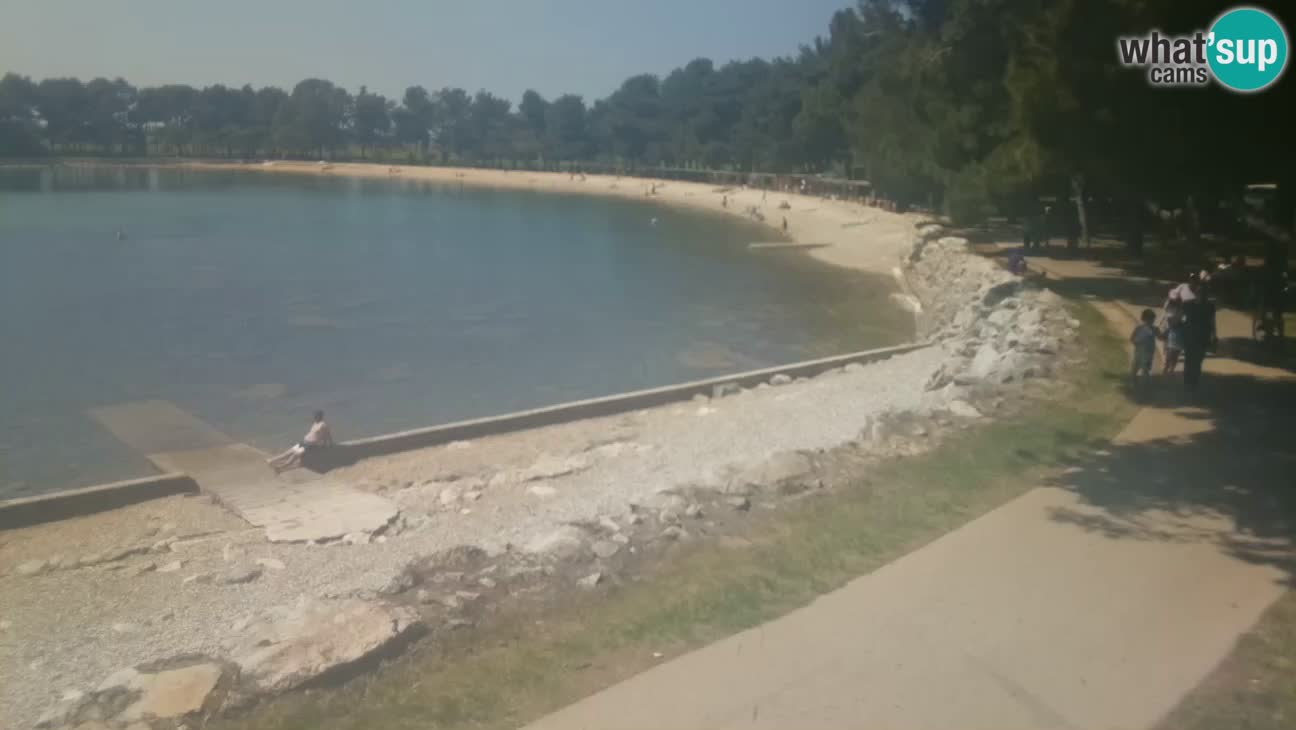Novigrad live cam – Karpinjan beach