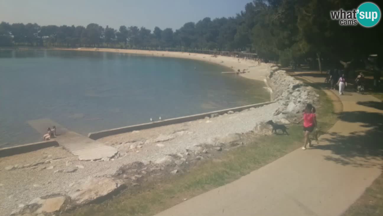 Novigrad – Strand Karpinjan webcam