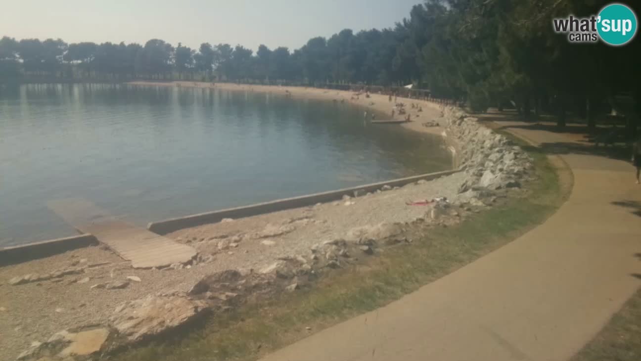 Novigrad – Plaža Karpinjan