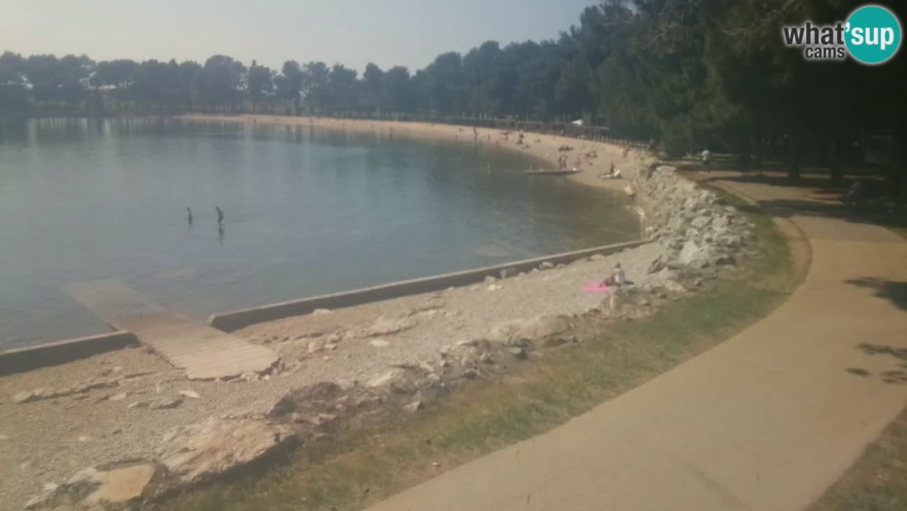 Novigrad – Playa Karpinjan