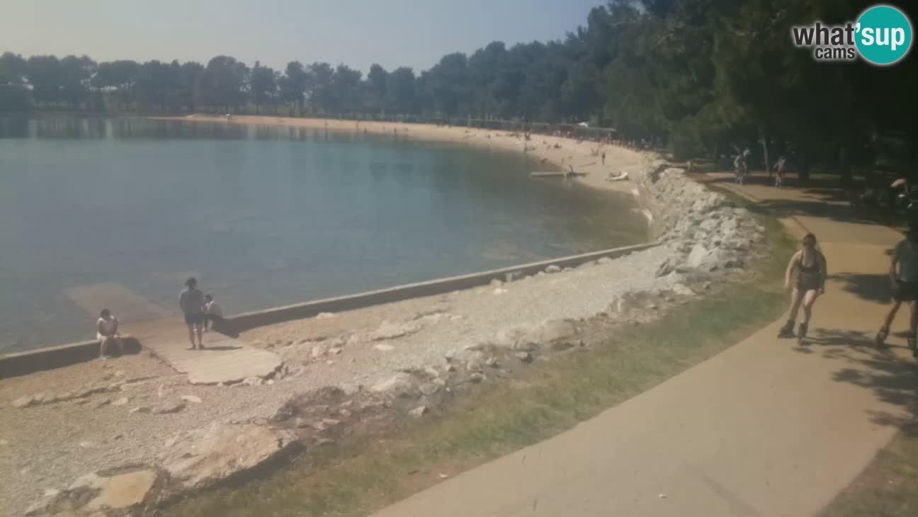 Novigrad live cam – Karpinjan beach