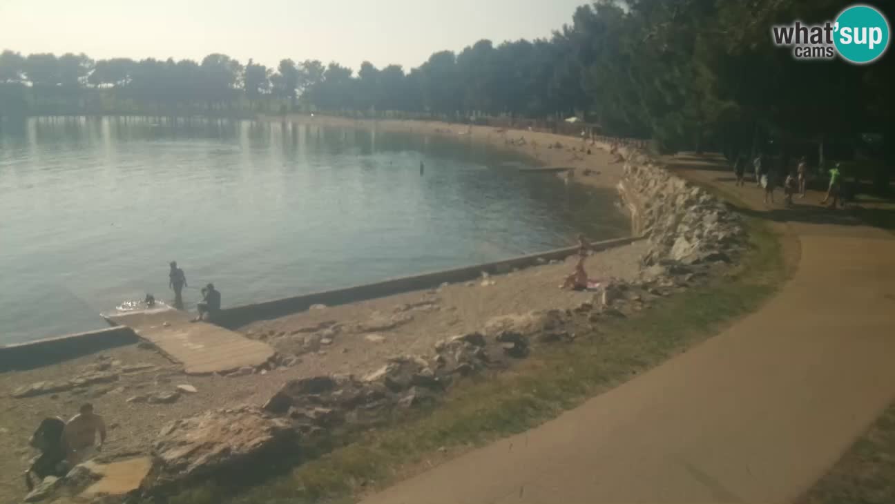 Novigrad live cam – Karpinjan beach