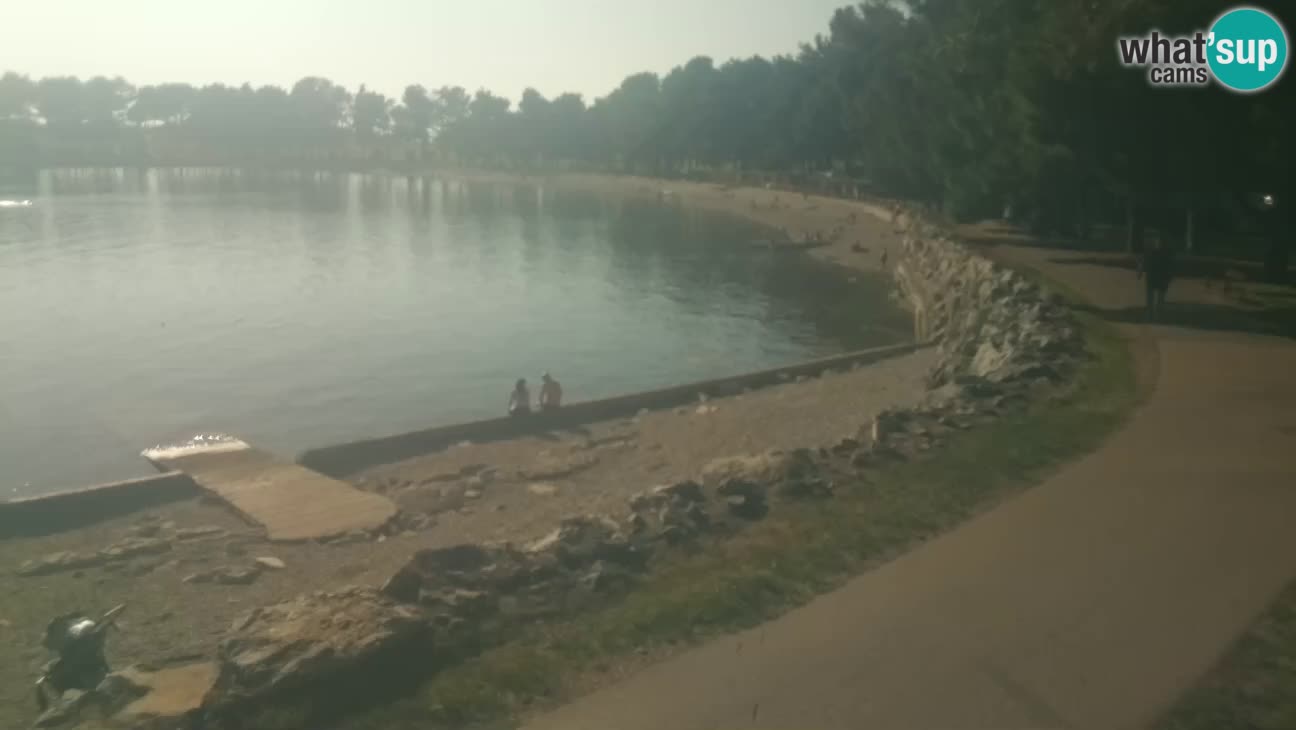Novigrad live cam – Karpinjan beach