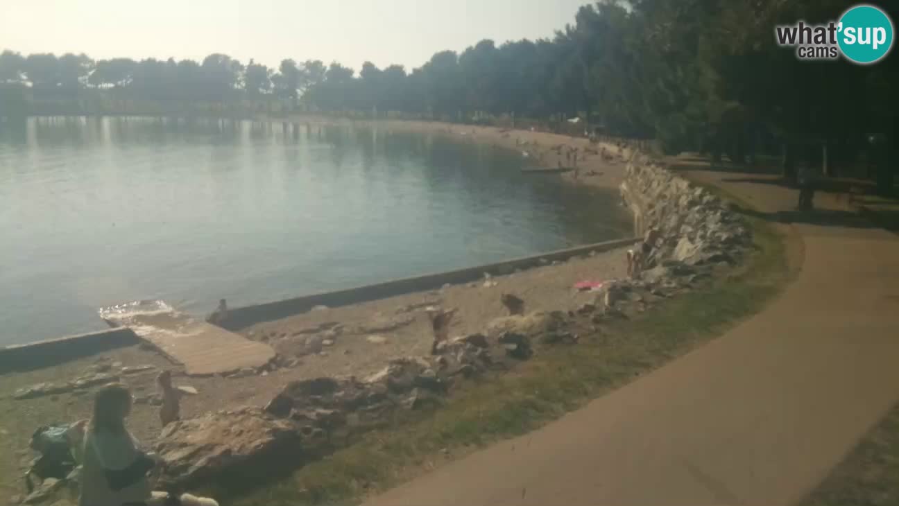 Novigrad – Plaža Karpinjan