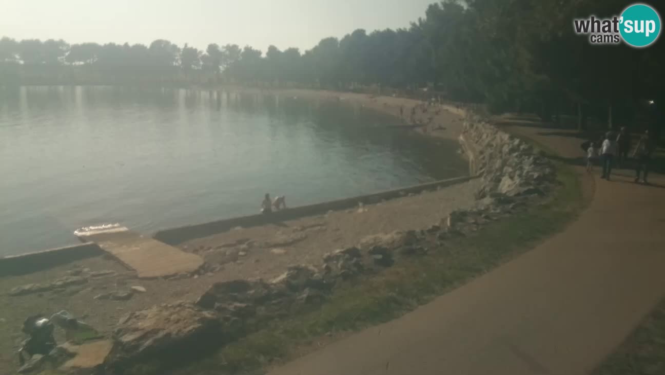 Novigrad – Strand Karpinjan webcam
