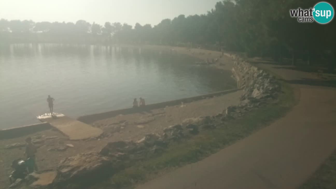 Novigrad – Playa Karpinjan